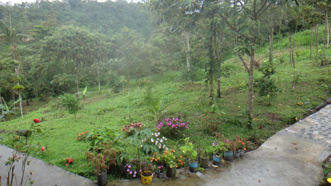 Kopalodge Puyo Room photo